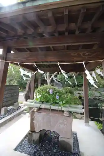 貫井神社の手水