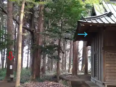 妻木神社のその他建物