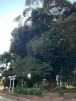 秀起霊神(千葉県)