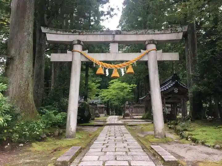 雄山神社中宮祈願殿の鳥居