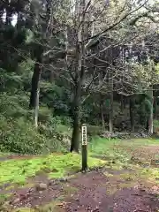 鷹屋神社の自然