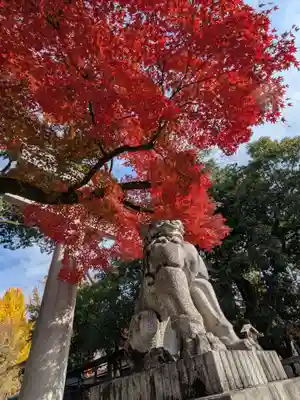 秩父神社の狛犬
