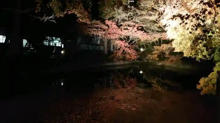 清水寺の{uncategorized: "未分類", other: "その他", undefined: "問題あり", building: "その他建物", grave: "お墓", sacred_gate: "鳥居", guardian: "狛犬", statue: "像", buddha: "仏像", history: "歴史", nature: "自然", garden: "庭園", animal: "動物", pagoda: "塔", temizu: "手水舎", mountain_gate: "山門・神門", sanctuary: "本殿・本堂", subordinate: "末社・摂社", art: "芸術", scenery: "景色", jizo: "地蔵", ema: "絵馬", goshuin: "御朱印", omikuji: "おみくじ", items: "授与品その他", amulet: "お守り", goshuincho: "御朱印帳", eats: "食事", festival: "お祭り", votive_dance: "神楽", shichigosan: "七五三参", wedding: "結婚式", experience: "体験その他", initially: "初詣", around: "周辺", anti_infection: "感染症対策"}