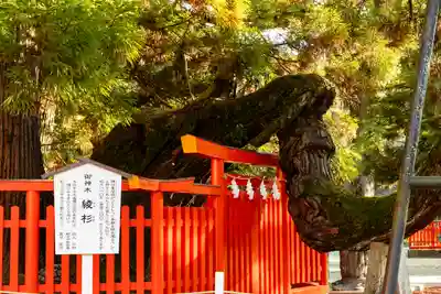 香椎宮(福岡県)
