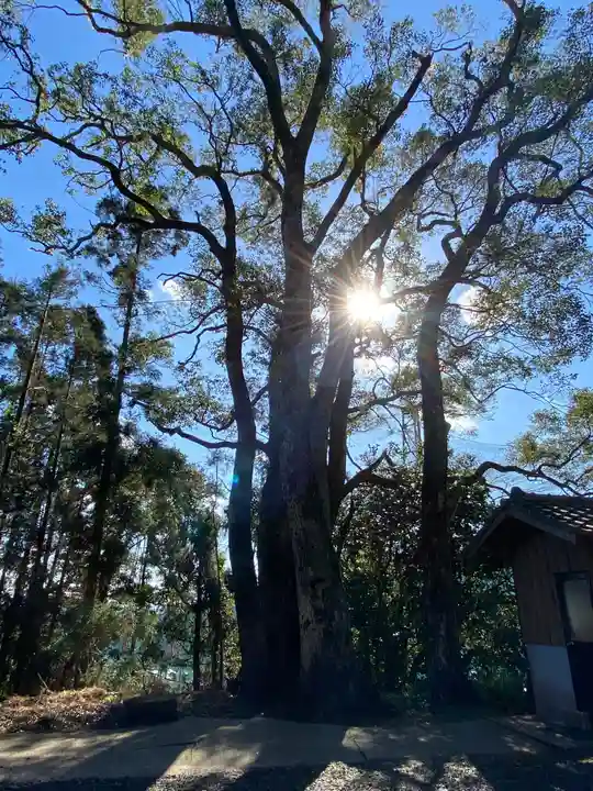 玉依姫神社の自然
