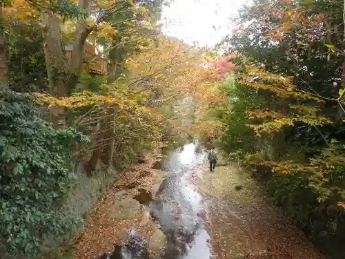 東勝寺跡の自然