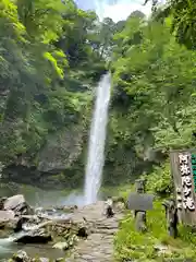 白山神社（長滝神社・白山長瀧神社・長滝白山神社）の周辺