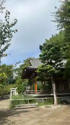鳩森八幡神社の神楽