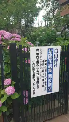 白山神社のその他建物