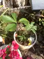 三輪神社の自然