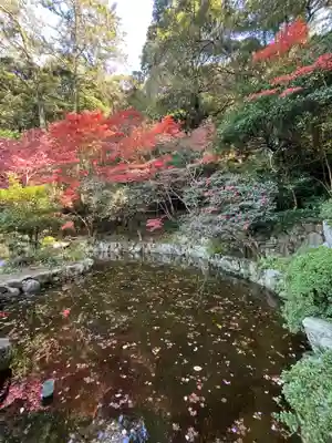 鎮國寺(福岡県)