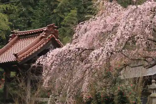 建福寺の庭園