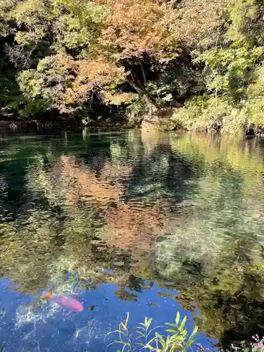 涌釜神社(栃木県)