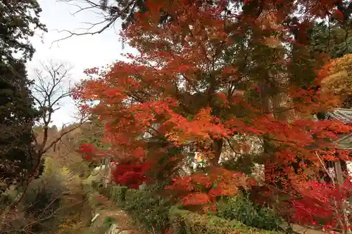 観音正寺(滋賀県)