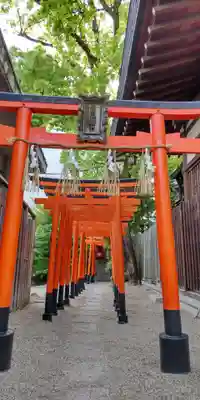 堀越神社(大阪府)