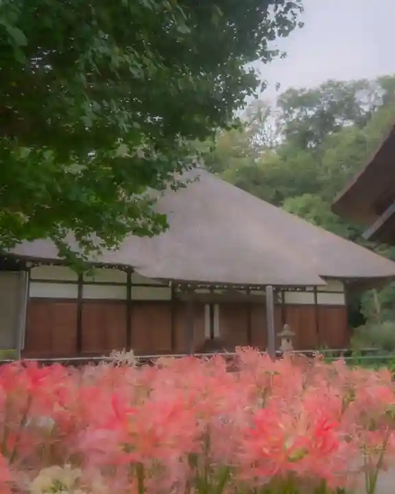 横浜 西方寺(神奈川県)