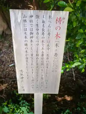 鳴無神社の{uncategorized: "未分類", other: "その他", undefined: "問題あり", building: "その他建物", grave: "お墓", sacred_gate: "鳥居", guardian: "狛犬", statue: "像", buddha: "仏像", history: "歴史", nature: "自然", garden: "庭園", animal: "動物", pagoda: "塔", temizu: "手水舎", mountain_gate: "山門・神門", sanctuary: "本殿・本堂", subordinate: "末社・摂社", art: "芸術", scenery: "景色", jizo: "地蔵", ema: "絵馬", goshuin: "御朱印", omikuji: "おみくじ", items: "授与品その他", amulet: "お守り", goshuincho: "御朱印帳", eats: "食事", festival: "お祭り", votive_dance: "神楽", shichigosan: "七五三参", wedding: "結婚式", experience: "体験その他", initially: "初詣", around: "周辺", anti_infection: "感染症対策"}