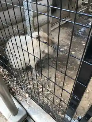 武蔵一宮氷川神社の{uncategorized: "未分類", other: "その他", undefined: "問題あり", building: "その他建物", grave: "お墓", sacred_gate: "鳥居", guardian: "狛犬", statue: "像", buddha: "仏像", history: "歴史", nature: "自然", garden: "庭園", animal: "動物", pagoda: "塔", temizu: "手水舎", mountain_gate: "山門・神門", sanctuary: "本殿・本堂", subordinate: "末社・摂社", art: "芸術", scenery: "景色", jizo: "地蔵", ema: "絵馬", goshuin: "御朱印", omikuji: "おみくじ", items: "授与品その他", amulet: "お守り", goshuincho: "御朱印帳", eats: "食事", festival: "お祭り", votive_dance: "神楽", shichigosan: "七五三参", wedding: "結婚式", experience: "体験その他", initially: "初詣", around: "周辺", anti_infection: "感染症対策"}