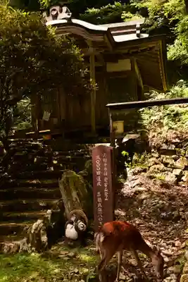 月輪寺(京都府)