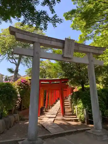 根津神社の鳥居