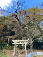 徳神社の鳥居