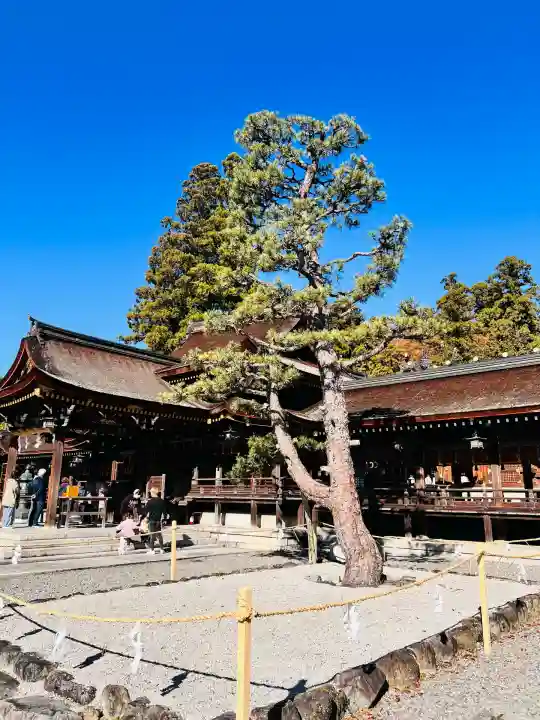 多賀大社(滋賀県)