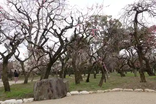 北野天満宮の庭園