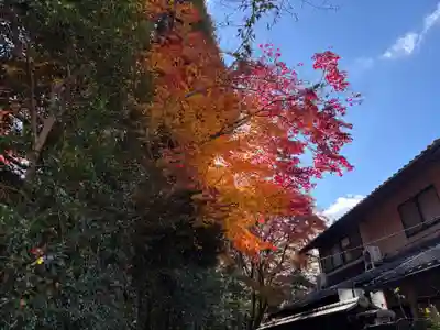 法然院(京都府)