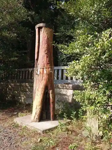 安房神社の自然