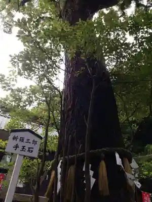 八雲神社（鎌倉・大町）のその他建物
