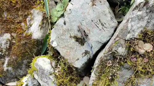 正寿院(京都府)