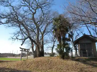 神明神社(千葉県)