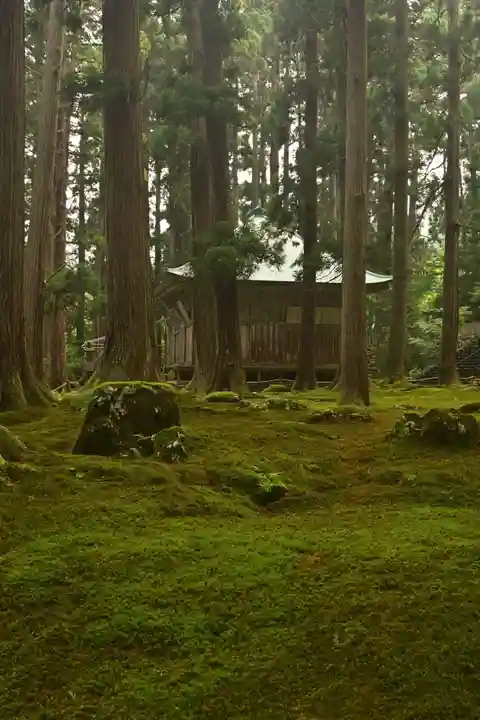 平泉寺白山神社(福井県)