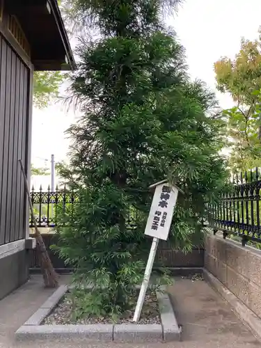 冨士浅間神社（竹丘浅間神社）のその他建物