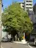 楠木大神の{uncategorized: "未分類", other: "その他", undefined: "問題あり", building: "その他建物", grave: "お墓", sacred_gate: "鳥居", guardian: "狛犬", statue: "像", buddha: "仏像", history: "歴史", nature: "自然", garden: "庭園", animal: "動物", pagoda: "塔", temizu: "手水舎", mountain_gate: "山門・神門", sanctuary: "本殿・本堂", subordinate: "末社・摂社", art: "芸術", scenery: "景色", jizo: "地蔵", ema: "絵馬", goshuin: "御朱印", omikuji: "おみくじ", items: "授与品その他", amulet: "お守り", goshuincho: "御朱印帳", eats: "食事", festival: "お祭り", votive_dance: "神楽", shichigosan: "七五三参", wedding: "結婚式", experience: "体験その他", initially: "初詣", around: "周辺", anti_infection: "感染症対策"}