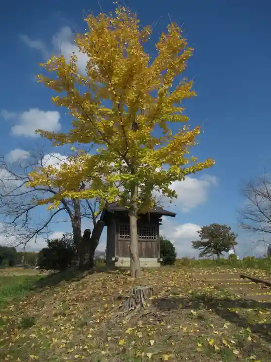 八幡神社(茨城県)