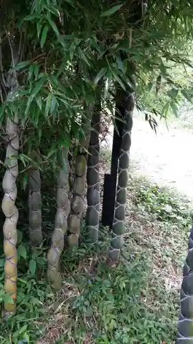 三ケ所神社の自然