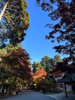 日吉大社(滋賀県)