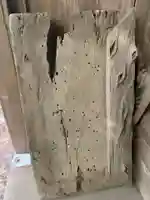 浅間神社(千葉県)