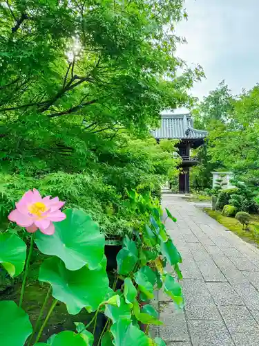 伊勢の国 四天王寺(三重県)