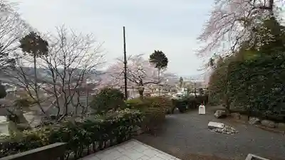 大渕寺(埼玉県)