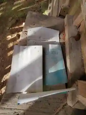 今宮神社(栃木県)