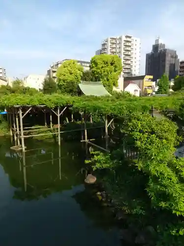 亀戸天神社の庭園