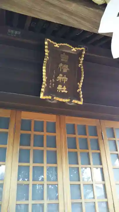 白幡神社の本殿・本堂
