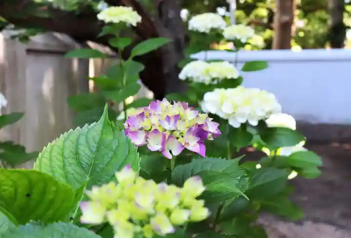 三津厳島神社の自然
