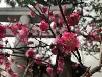 北野神社の自然