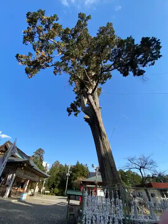 矢奈比賣神社(見付天神)(静岡県)