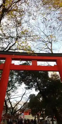 花園神社の鳥居