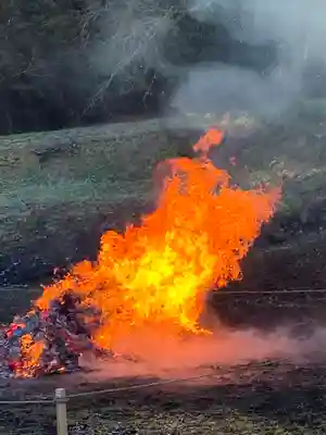淨光院のお祭り