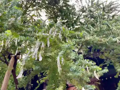 蔵前神社(東京都)